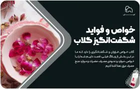خواص و فواید شگفت‌انگیز گلاب